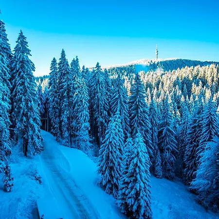 Lägenhetshotell Sunny Hills Ski&wellness