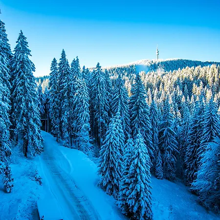 公寓式酒店 Sunny Hills Ski&wellness 潘波洛沃