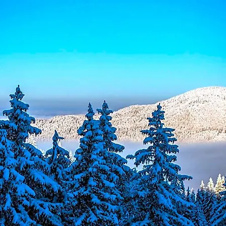 Sunny Hills Ski&wellness Apartmanhotel Pamporovo