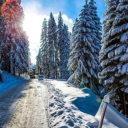 Sunny Hills Ski&wellness Apartmanhotel Pamporovo
