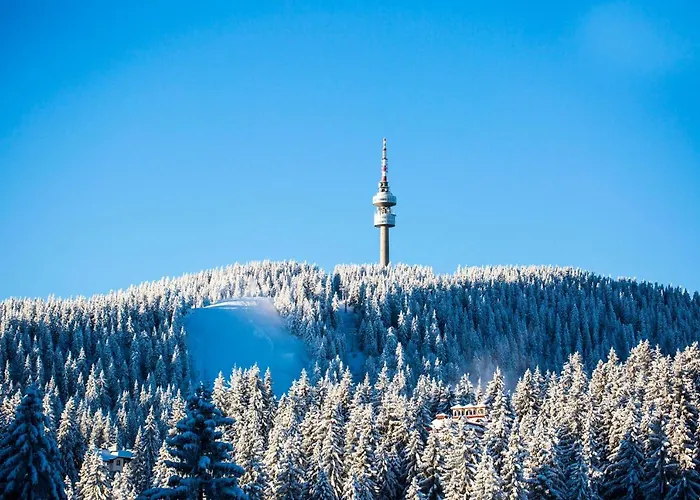 Sunny Hills Ski&wellness Aparthotel Pamporovo