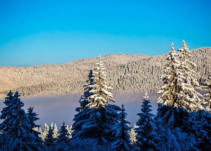 Sunny Hills Ski&wellness Pamporovo