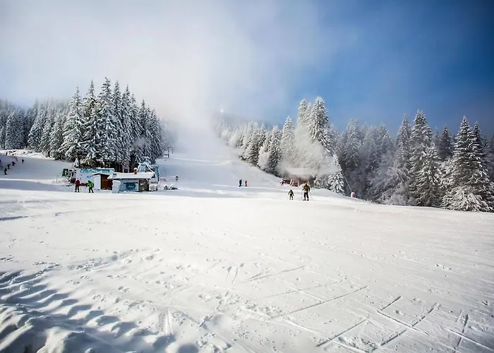 Sunny Hills Ski&wellness