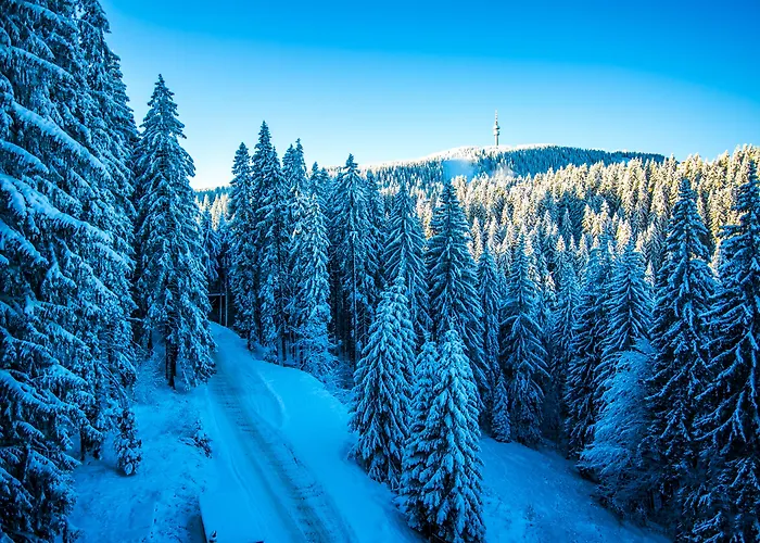 Aparthotel Sunny Hills Ski&wellness Pamporowo